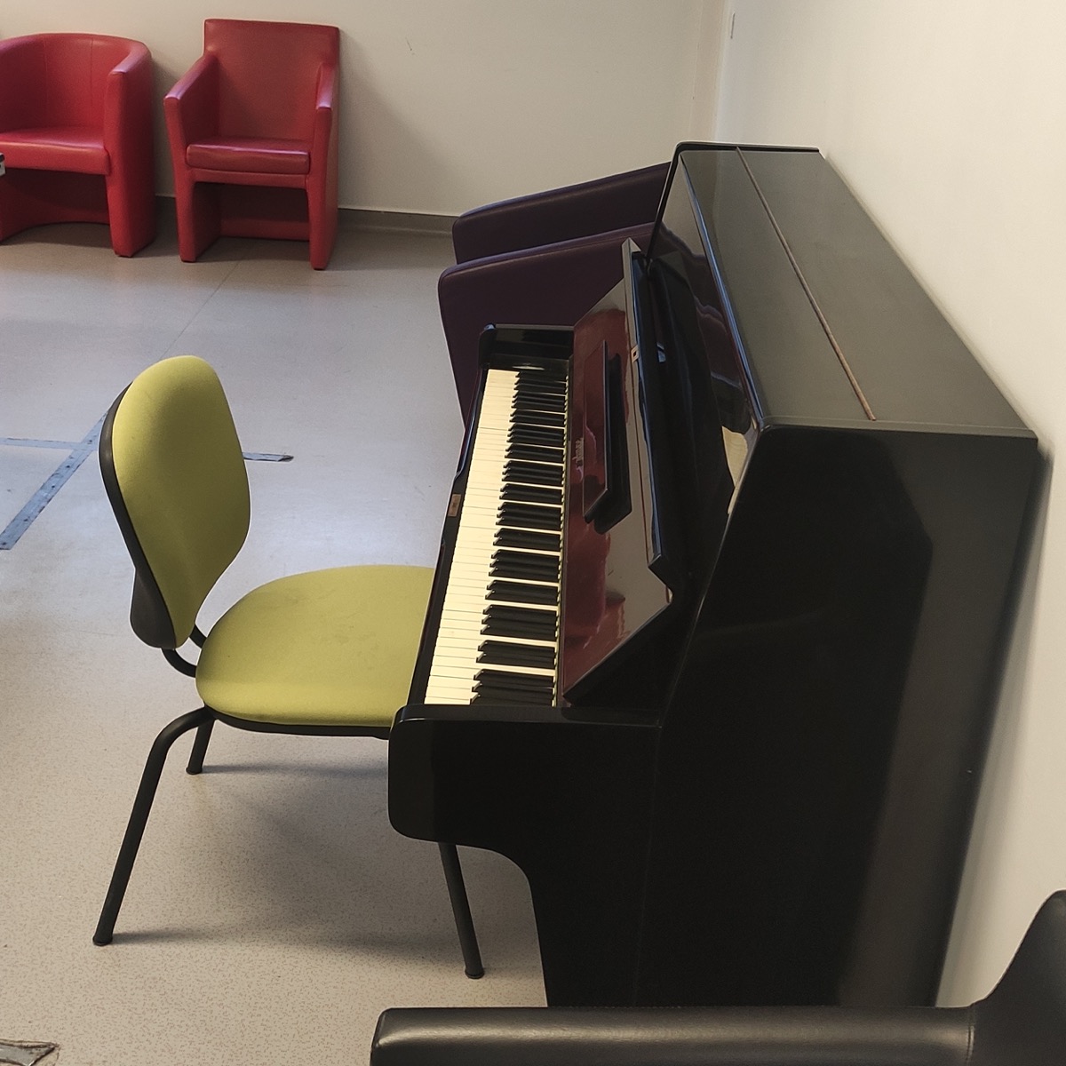 L’hôpital Paul Guiraud reçoit un Horugel